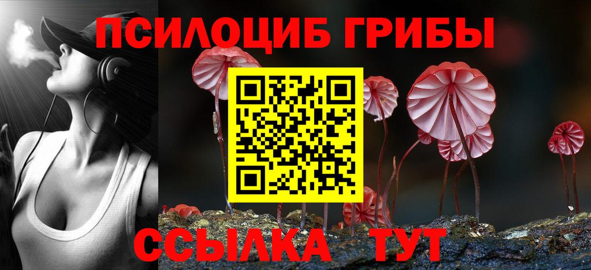 Новокуйбышевск  Псилоцибиновые грибы ЛСД  Вход с VPN 